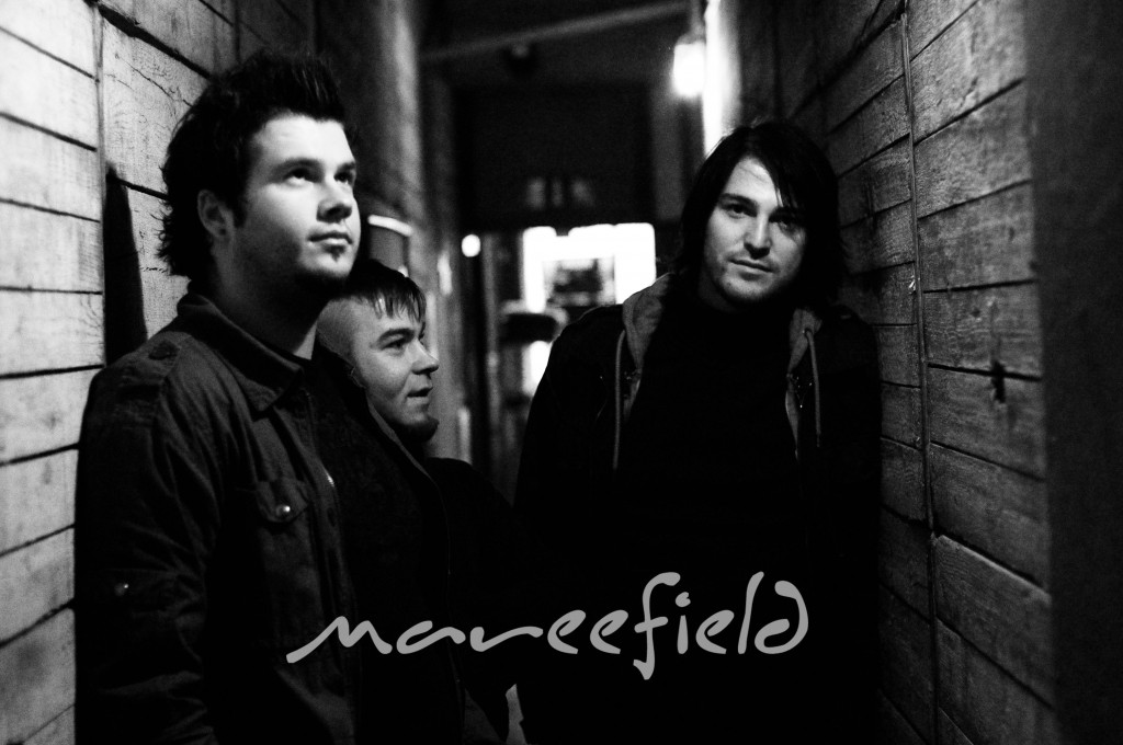 foto-mareefield